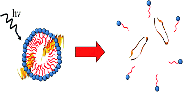 Graphical abstract: Photo-initiated rupture of azobenzene micelles to enable the spectroscopic analysis of antimicrobial peptide dynamics