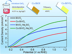 Graphical abstract: Cobalt doped BiVO4 with rich oxygen vacancies for efficient photoelectrochemical water oxidation