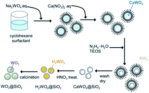 Graphical abstract: Synthesis of nano-sized tungsten oxide particles encapsulated in a hollow silica sphere and their photocatalytic properties for decomposition of acetic acid using Pt as a co-catalyst