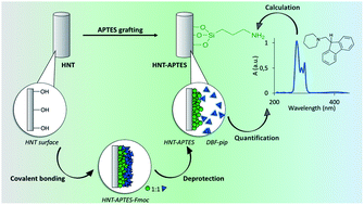 Graphical abstract: Quantification of amino groups on halloysite surfaces using the Fmoc-method