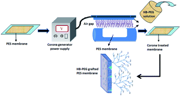 Graphical abstract: Surface modification of a PES membrane by corona air plasma-assisted grafting of HB-PEG for separation of oil-in-water emulsions