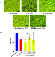 Graphical abstract: Paeoniflorin ameliorates glycemic variability-induced oxidative stress and platelet activation in HUVECs and DM rats