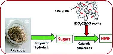 Graphical abstract: Production of 5-hydroxymethylfurfural (HMF) from rice-straw biomass using a HSO3–ZSM-5 zeolite catalyst under assistance of sonication