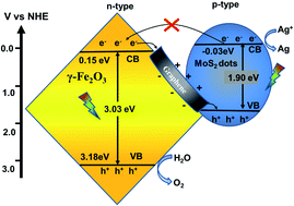 Graphical abstract: MOF-derived (MoS2, γ-Fe2O3)/graphene Z-scheme photocatalysts with excellent activity for oxygen evolution under visible light irradiation