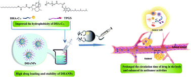 Graphical abstract: In vivo and in vitro evaluation of dihydroartemisinin prodrug nanocomplexes as a nano-drug delivery system: characterization, pharmacokinetics and pharmacodynamics