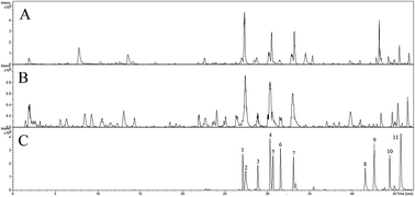 Graphical abstract: Rapid characterization of the chemical constituents of Sanhua decoction by UHPLC coupled with Fourier transform ion cyclotron resonance mass spectrometry