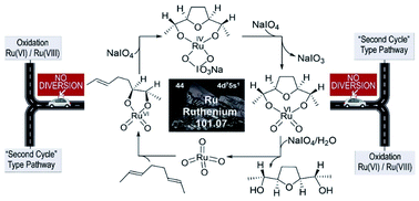 Graphical abstract: Ru-catalysed oxidative cyclisation of 1,5-dienes: an unprecedented role for the co-oxidant