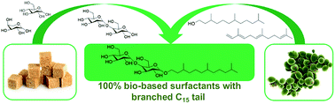 Graphical abstract: Hexahydrofarnesyl as an original bio-sourced alkyl chain for the preparation of glycosides surfactants with enhanced physicochemical properties