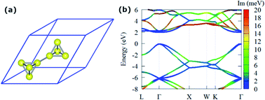 Graphical abstract: Electron–phonon scattering and excitonic effects in T-carbon