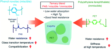 Graphical abstract: Multifaceted property tailoring of polyamide 6 by blending miscible and immiscible components: ternary blends of polyamide 6/polyethylene terephthalate/phenol novolac