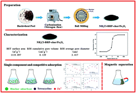Graphical abstract: Single-component and competitive adsorption of tetracycline and Zn(ii) on an NH4Cl-induced magnetic ultra-fine buckwheat peel powder biochar from water: studies on the kinetics, isotherms, and mechanism
