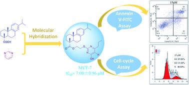 Graphical abstract: Synthesis and biological evaluation of dehydroabietic acid-pyrimidine hybrids as antitumor agents