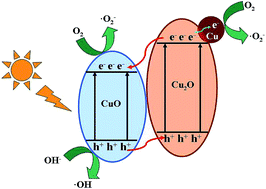 Graphical abstract: One-pot preparation of hierarchical Cu2O hollow spheres for improved visible-light photocatalytic properties