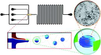 Graphical abstract: Influence of channel height on mixing efficiency and synthesis of iron oxide nanoparticles using droplet-based microfluidics