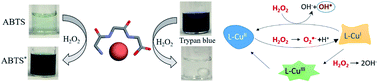 Graphical abstract: Copper–tripeptides (cuzymes) with peroxidase-mimetic activity