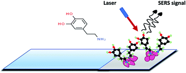 Graphical abstract: High-sensitivity SERS based sensing on the labeling side of glass slides using low branched gold nanoparticles prepared with surfactant-free synthesis