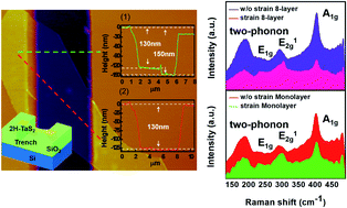 Graphical abstract: Strain engineering and lattice vibration manipulation of atomically thin TaS2 films