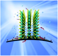 Graphical abstract: 3D flower-like molybdenum disulfide modified graphite felt as a positive material for vanadium redox flow batteries