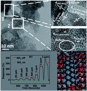 Graphical abstract: Ultrasonication assisted fabrication of a tungsten sulfide/tungstite heterostructure for ppb-level ammonia detection at room temperature