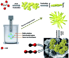 Graphical abstract: Room temperature blooming of CeO2 3D nanoflowers under sonication and catalytic efficacy towards CO conversion