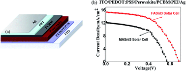 Graphical abstract: Theoretical and experimental investigations on the bulk photovoltaic effect in lead-free perovskites MASnI3 and FASnI3