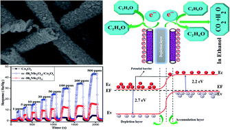 Graphical abstract: A novel ethanol gas sensor based on α-Bi2Mo3O12/Co3O4 nanotube-decorated particles