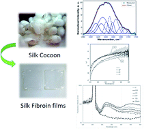 Graphical abstract: Influence of alcohol treatments on properties of silk-fibroin-based films for highly optically transparent coating applications
