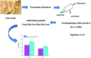 Graphical abstract: Isolation of antioxidant peptides from yak casein hydrolysate