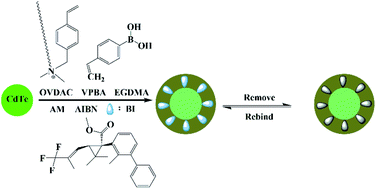 Graphical abstract: A fluorescent microsensor for the selective detection of bifenthrin