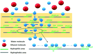 Graphical abstract: A highly hydrophilic benzenesulfonic-grafted graphene oxide-based hybrid membrane for ethanol dehydration