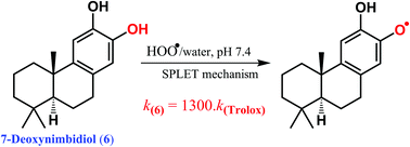 Graphical abstract: The antioxidant activity of natural diterpenes: theoretical insights