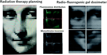 Graphical abstract: Sensitivity enhancement of DHR123 radio-fluorogenic nanoclay gel dosimeter by incorporating surfactants and halogenides