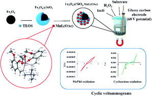 Graphical abstract: A manganese(iii) Schiff base complex immobilized on silica-coated magnetic nanoparticles showing enhanced electrochemical catalytic performance toward sulfide and alkene oxidation