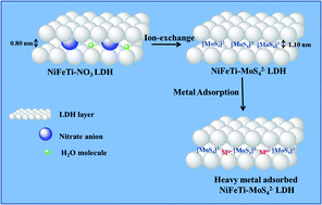 Graphical abstract: MoS42− intercalated NiFeTi LDH as an efficient and selective adsorbent for elimination of heavy metals