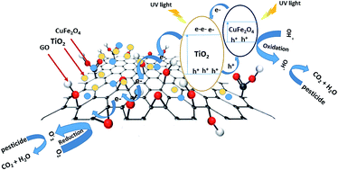Graphical abstract: Novel TiO2/GO/CuFe2O4 nanocomposite: a magnetic, reusable and visible-light-driven photocatalyst for efficient photocatalytic removal of chlorinated pesticides from wastewater
