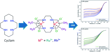 Graphical abstract: Study of M(iii)-cyclam (M = Rh, Ru; cyclam = 1,4,8,11-tetraazacyclotetradecane) complexes as novel methanol resistant electrocatalysts for the oxygen reduction reaction