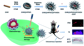 Graphical abstract: Polydopamine-doped virus-like structured nanoparticles for photoacoustic imaging guided synergistic chemo-/photothermal therapy
