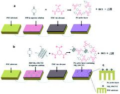 Graphical abstract: Fabrication of high performance TFN membrane containing NH2-SWCNTs via interfacial regulation