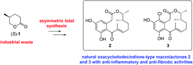 Graphical abstract: Concise asymmetric synthesis of two natural oxacyclododecindione-type macrolactones from industrial waste
