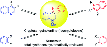 Graphical abstract: Isolation and synthesis of cryptosanguinolentine (isocryptolepine), a naturally-occurring bioactive indoloquinoline alkaloid