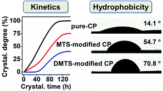 Graphical abstract: One-step synthesis of hydrophobic clinoptilolite modified by silanization for the degradation of crystal violet dye in aqueous solution