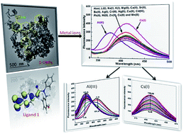 Graphical abstract: Highly selective and sensitive simultaneous nanomolar detection of Cs(i) and Al(iii) ions using tripodal organic nanoparticles in aqueous media: the effect of the urea backbone on chemosensing