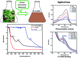 Graphical abstract: Green synthesis of copper nanoparticles from an extract of Jatropha curcas leaves: characterization, optical properties, CT-DNA binding and photocatalytic activity