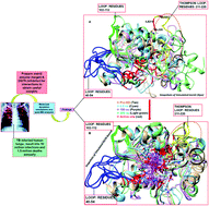 Graphical abstract: Thompson loop: opportunities for antitubercular drug design by targeting the weak spot in demethylmenaquinone methyltransferase protein