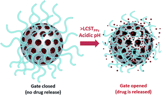 Graphical abstract: Dual stimuli-responsive polyphosphazene-based molecular gates for controlled drug delivery in lung cancer cells