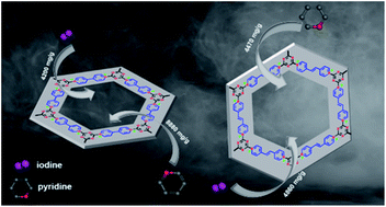 Graphical abstract: Highly efficient, reversible iodine capture and exceptional uptake of amines in viologen-based porous organic polymers