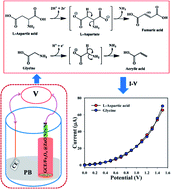 Graphical abstract: Simultaneous detection of l-aspartic acid and glycine using wet-chemically prepared Fe3O4@ZnO nanoparticles: real sample analysis