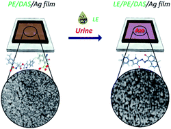 Graphical abstract: Quantitative determination of leukocyte esterase with a paper-based device