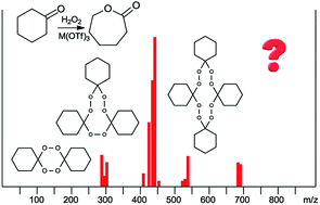 Graphical abstract: The Baeyer–Villiger rearrangement with metal triflates: new developments toward mechanism