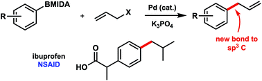 Graphical abstract: MIDA boronate allylation – synthesis of ibuprofen